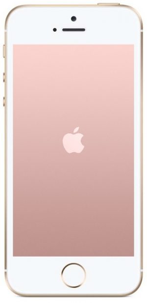 Apple_iPhone_SE_Rose_Gold_Front.jpg